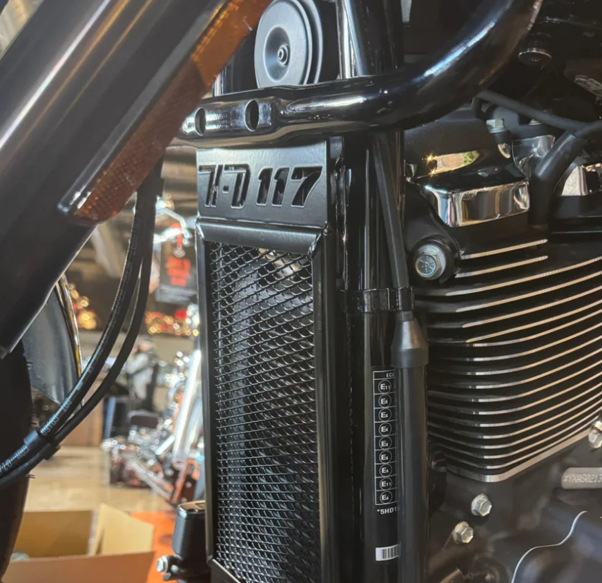 20010-BLK - Rad Guard - Oil Cooler Cover - Low Rider ST 2025-2026