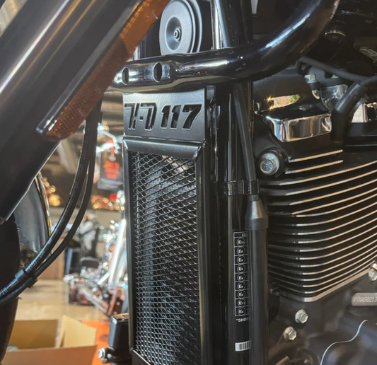 20010-BLK - Rad Guard - Oil Cooler Cover - Low Rider ST 2025-2026