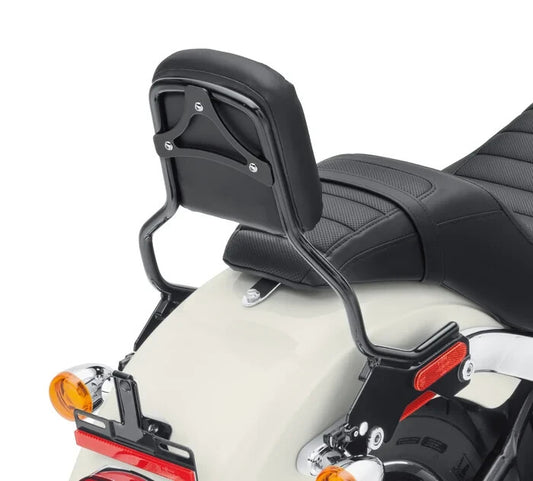 52300439 Harley-Davidson® "HoldFast Sissy Bar Upright - Standard Height - Gloss Black"