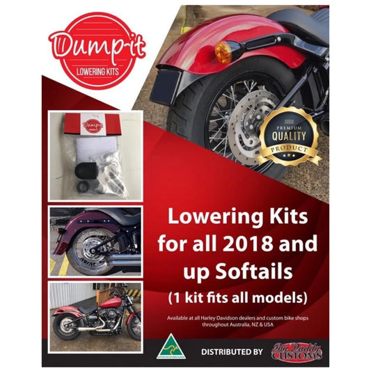 DI0018 - "DUMP IT Lowering Kit - M8 Softails"