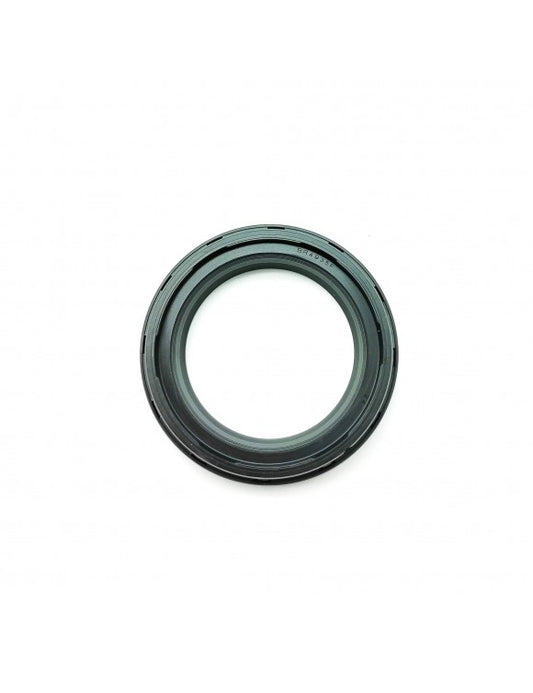 T2047109 Triumph "Dust Seal"
