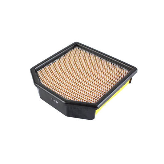 T2204242 Triumph "Air Filter Assy- Tiger"